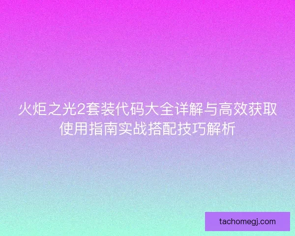 火炬之光2套装代码大全详解与高效获取使用指南实战搭配技巧解析