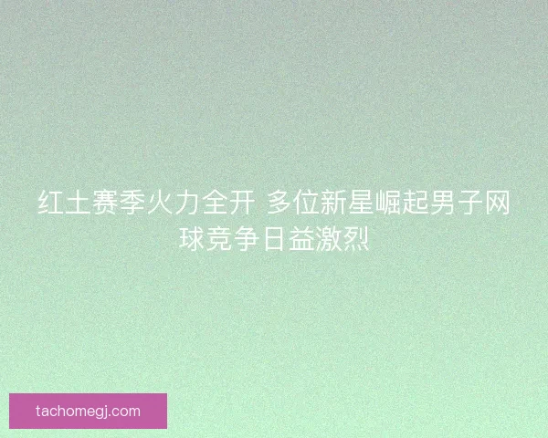 红土赛季火力全开 多位新星崛起男子网球竞争日益激烈