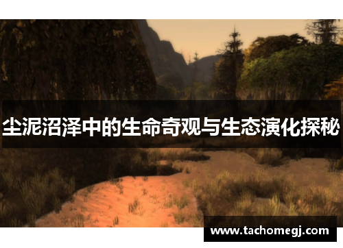 尘泥沼泽中的生命奇观与生态演化探秘