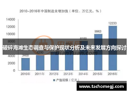 破碎海滩生态调查与保护现状分析及未来发展方向探讨