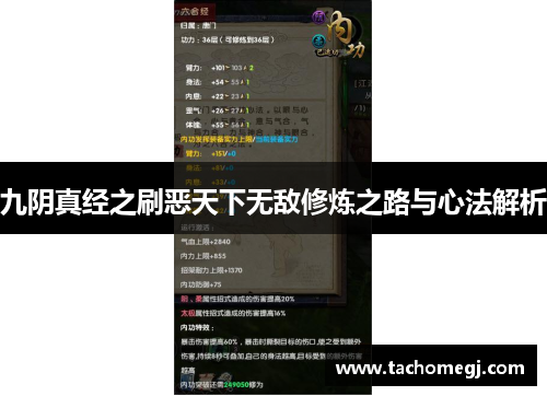 九阴真经之刷恶天下无敌修炼之路与心法解析