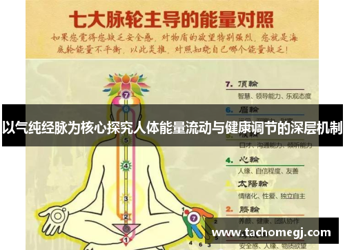 以气纯经脉为核心探究人体能量流动与健康调节的深层机制