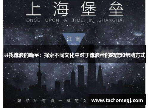 寻找流浪的晚星：探索不同文化中对于流浪者的态度和帮助方式